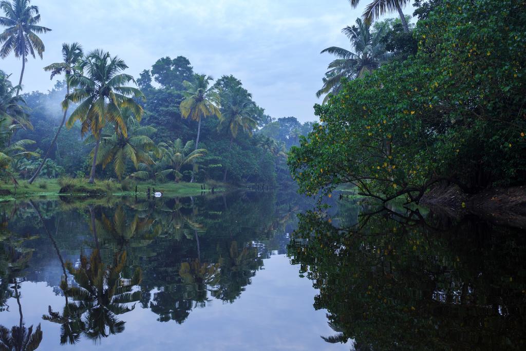 Heritage Marari มาราริคุลาม ภายนอก รูปภาพ